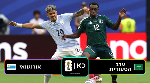 פוסטר תקציר